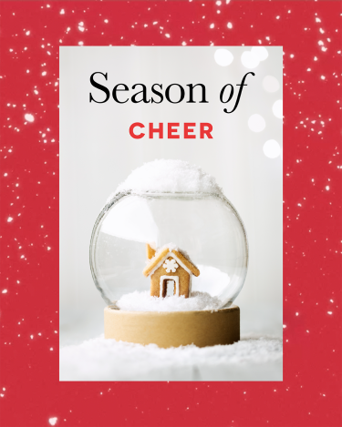 Holiday Performance: Premier Martial Arts